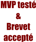 MVP testé &  Brevetaccepté